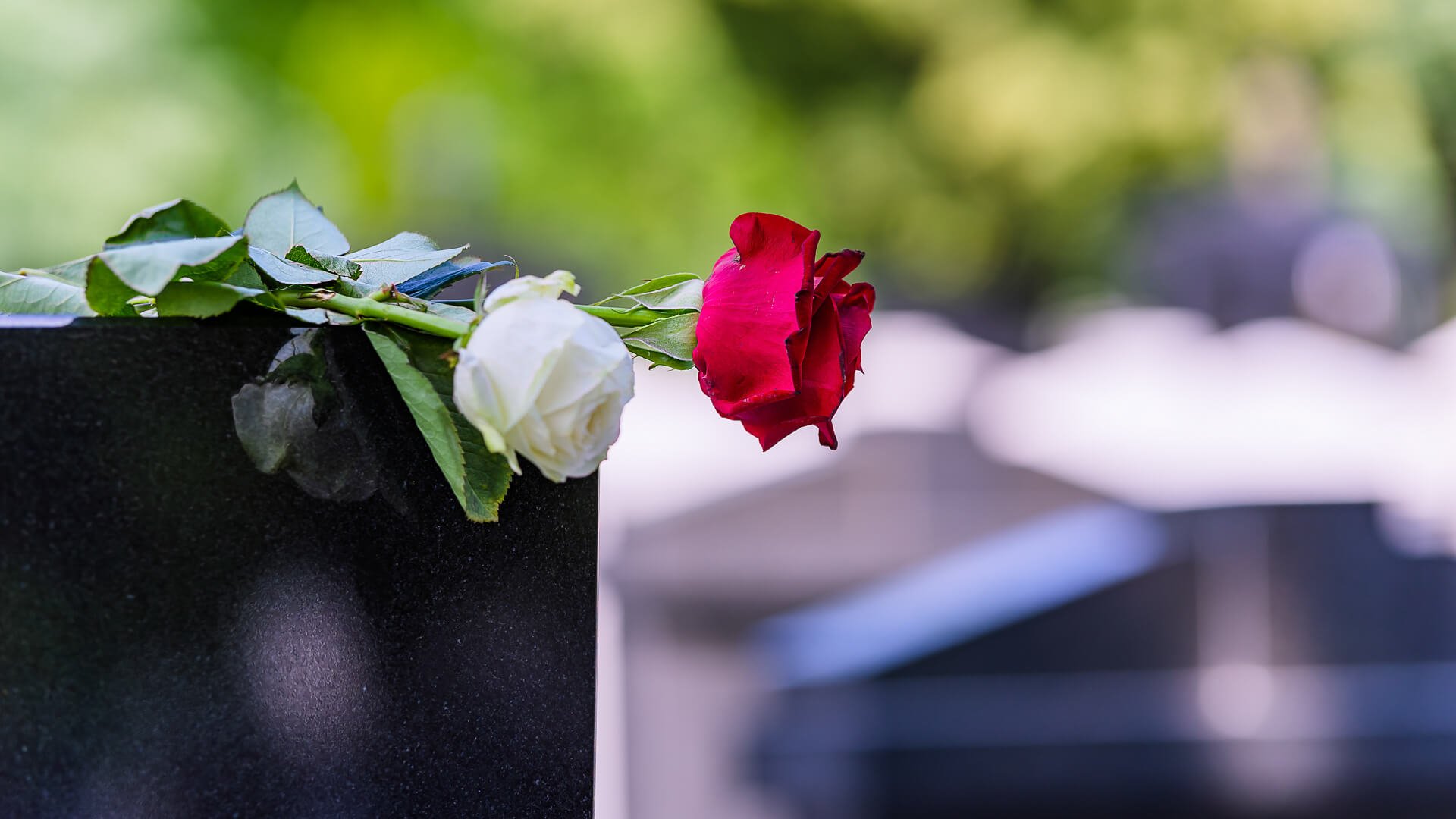 С могилы родственника пропали цветы! Что это значит?